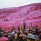 Illustration for article titled The Congo's Unending War Captured in Vivid Infrared Color